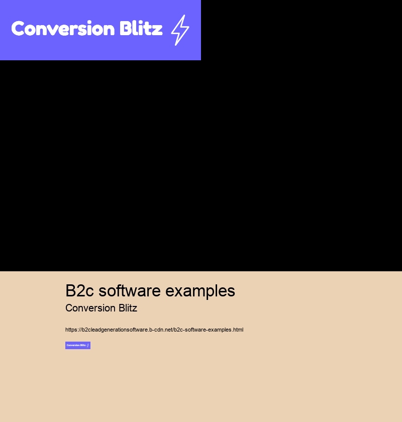 b2c software examples Conversion Blitz b2c software examples